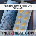 Kamagra 100Mg Oral Jelly Sildenafil 44